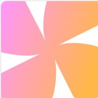 Chunks logo