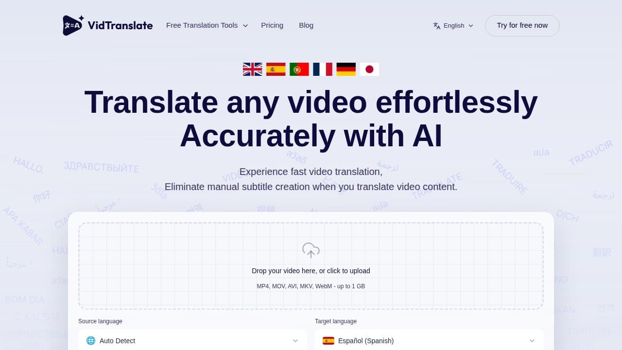 VidTranslate - Product screenshot