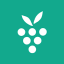 Berrycast Logo