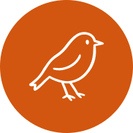 Robynn logo
