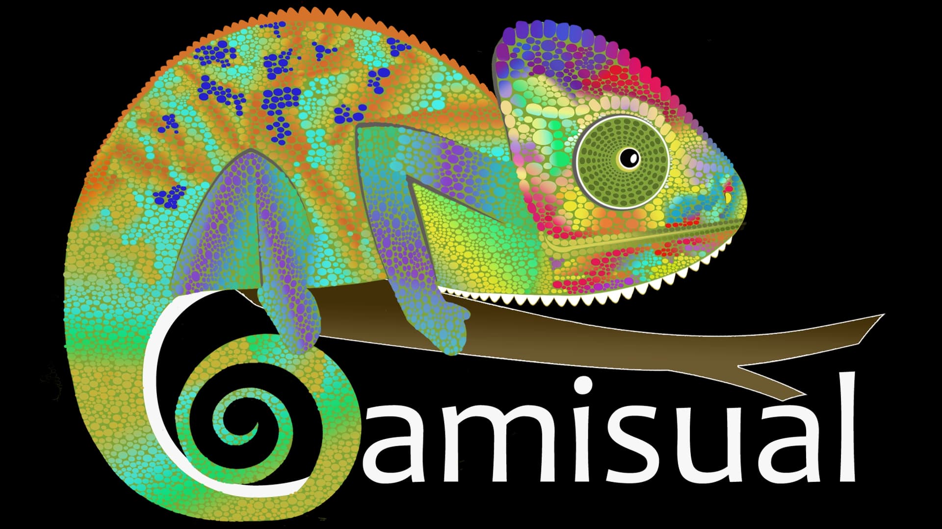 Camisual logo