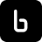 Binarly logo